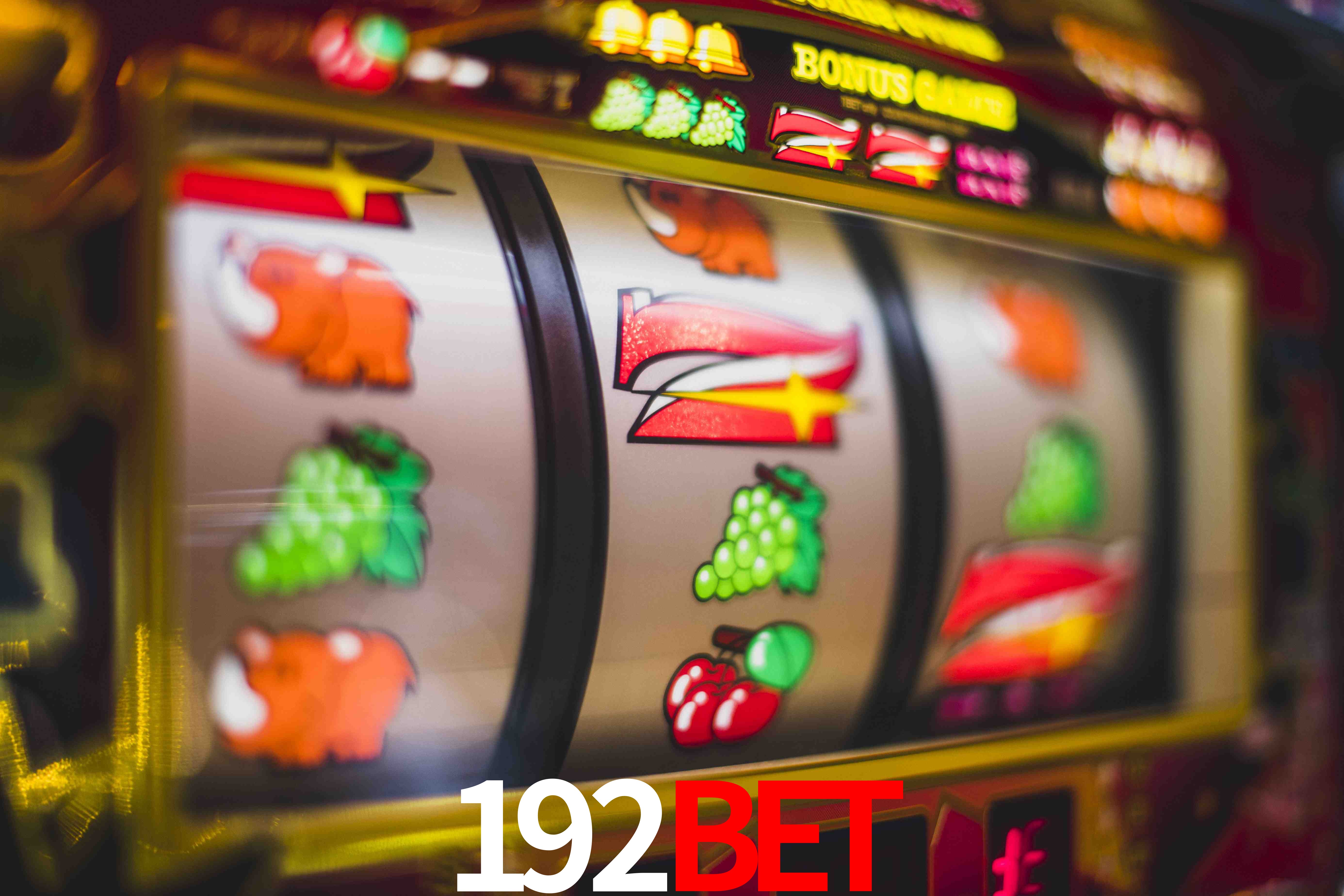 Experiência VIP 192Bet